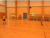 stage  badminton